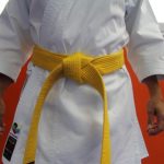 cinturon amarillo